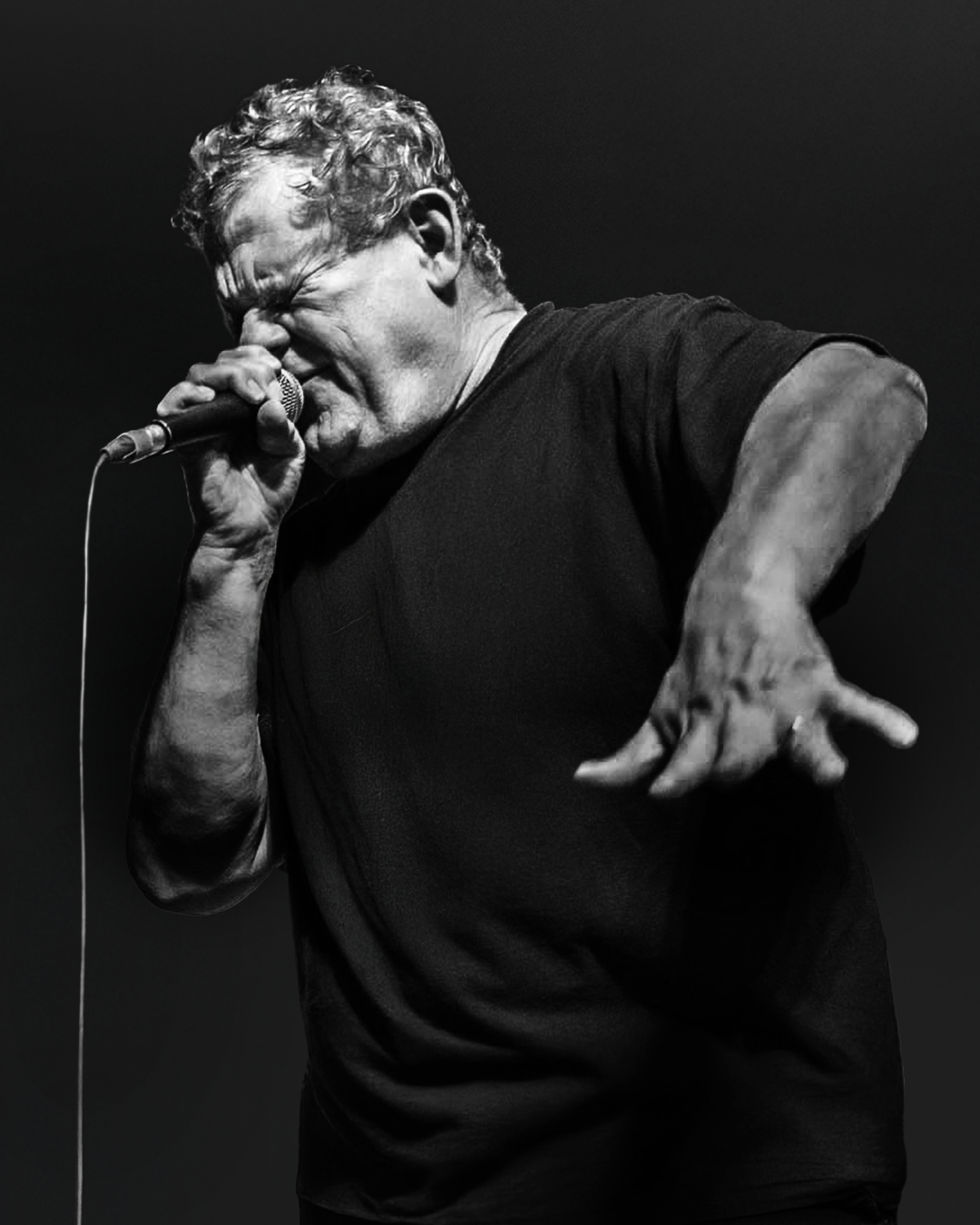 Przykładowy artysta